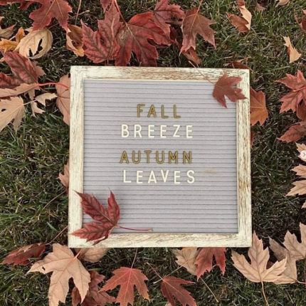 Fall Breeze Autumn Leaves